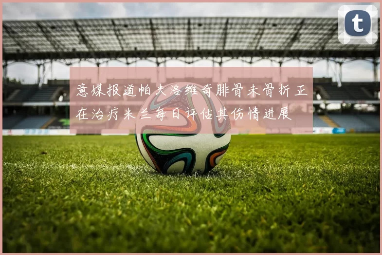 意媒报道帕夫洛维奇腓骨未骨折正在治疗米兰每日评估其伤情进展